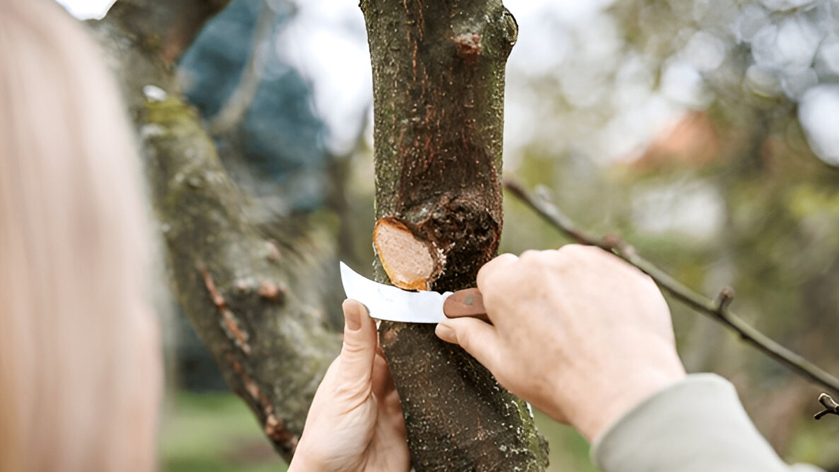 pitru paksh me kya na karen