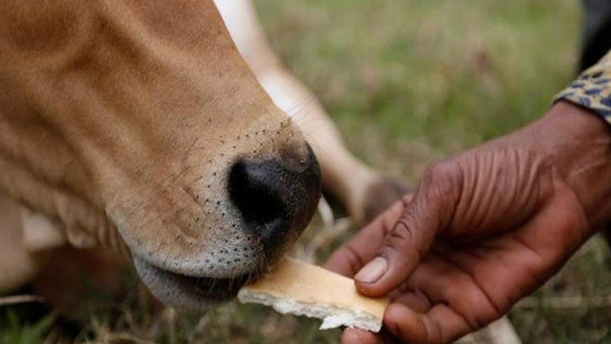 1 - 2025-09-05T175407.760