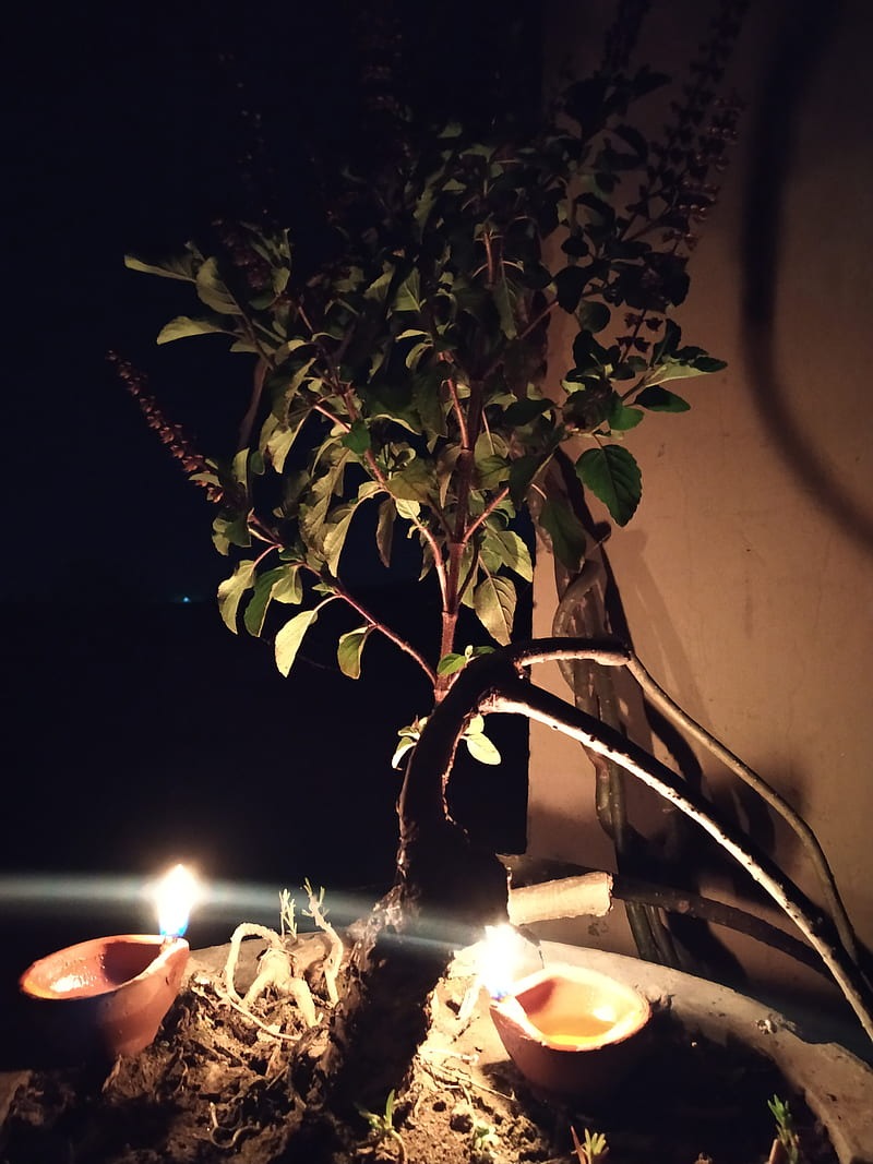 indira ekadashi 2025 pr kaise kare tulsi ki puja