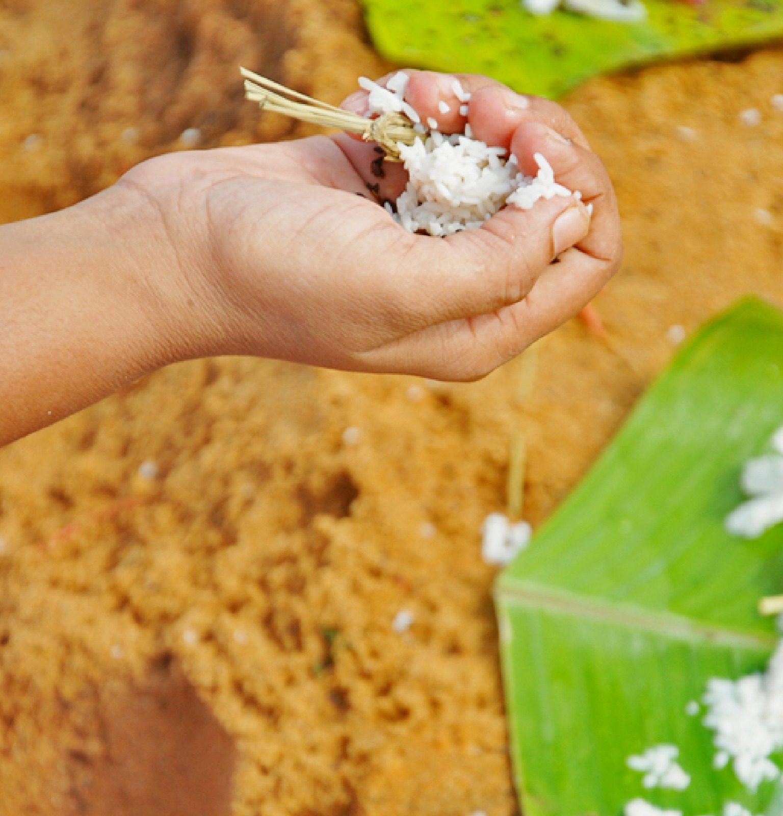 ekadashi shradh 2025 tithi