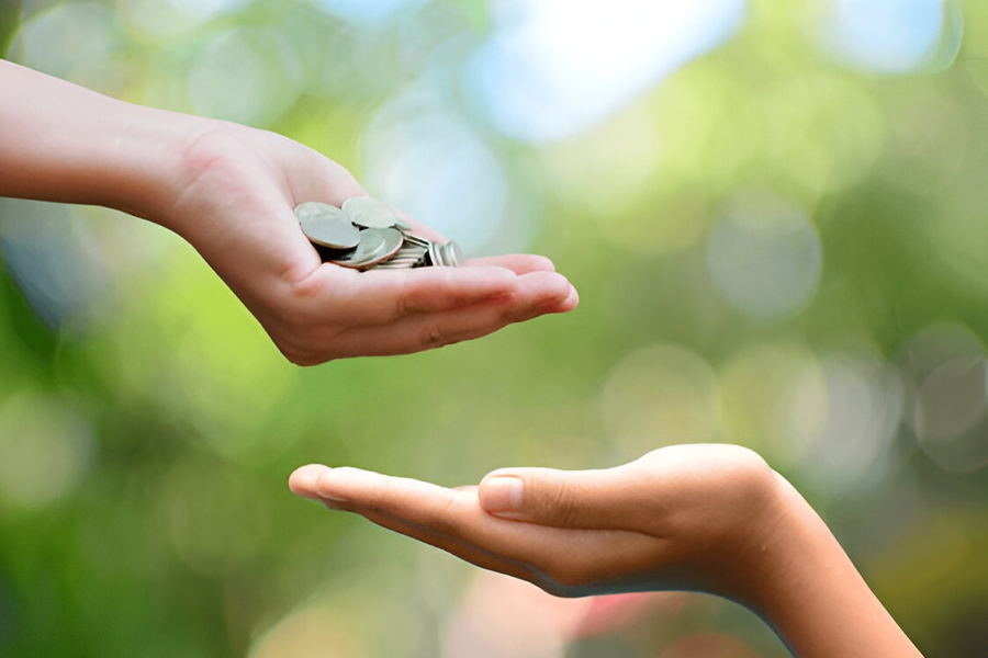 money donation on indira ekadashi