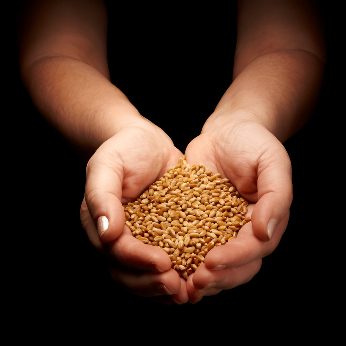 wheat donation on ekadashi