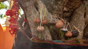 Why hang pot on Peepal tree