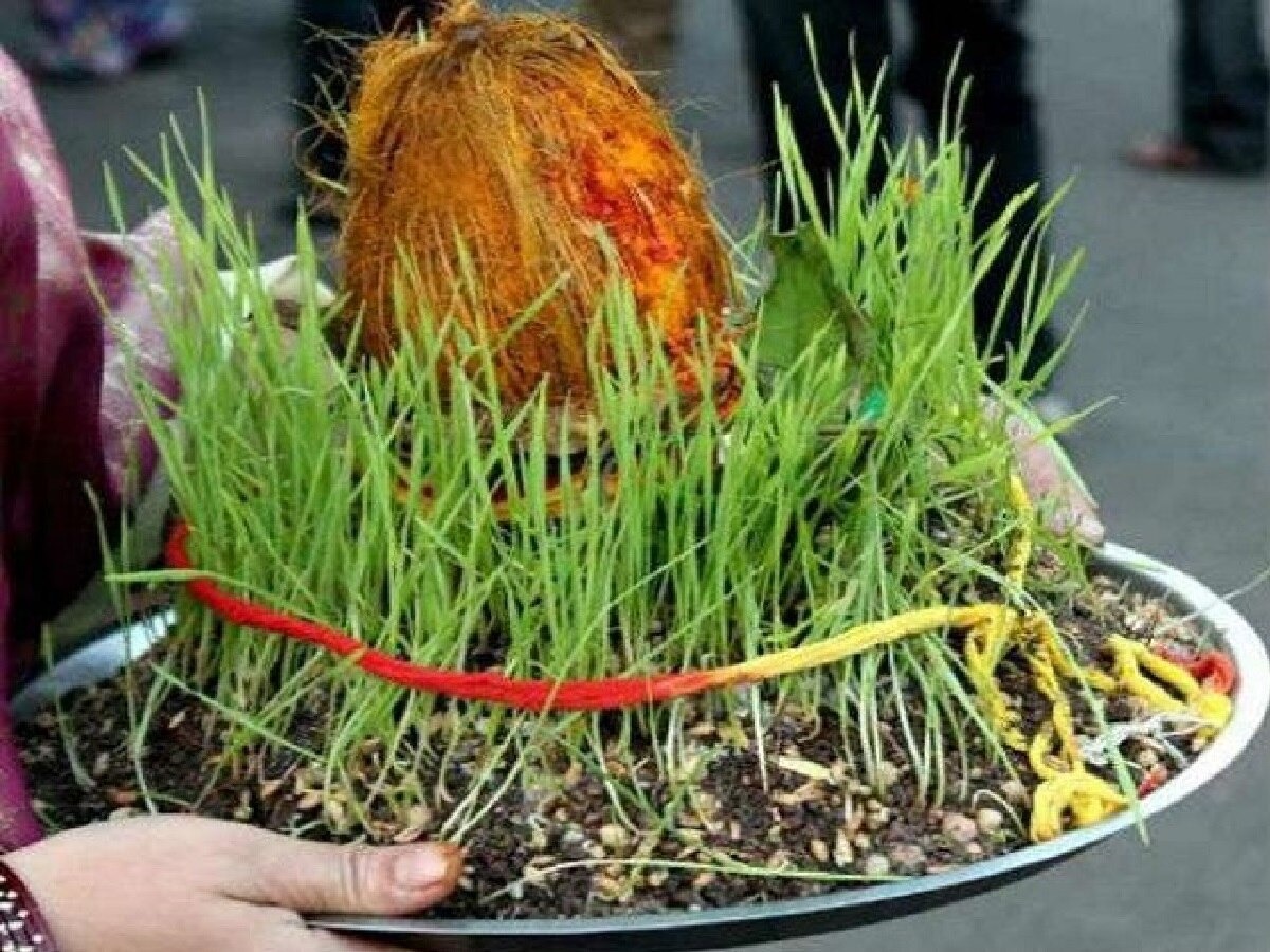 kya navratri mein durva bo sakte hain