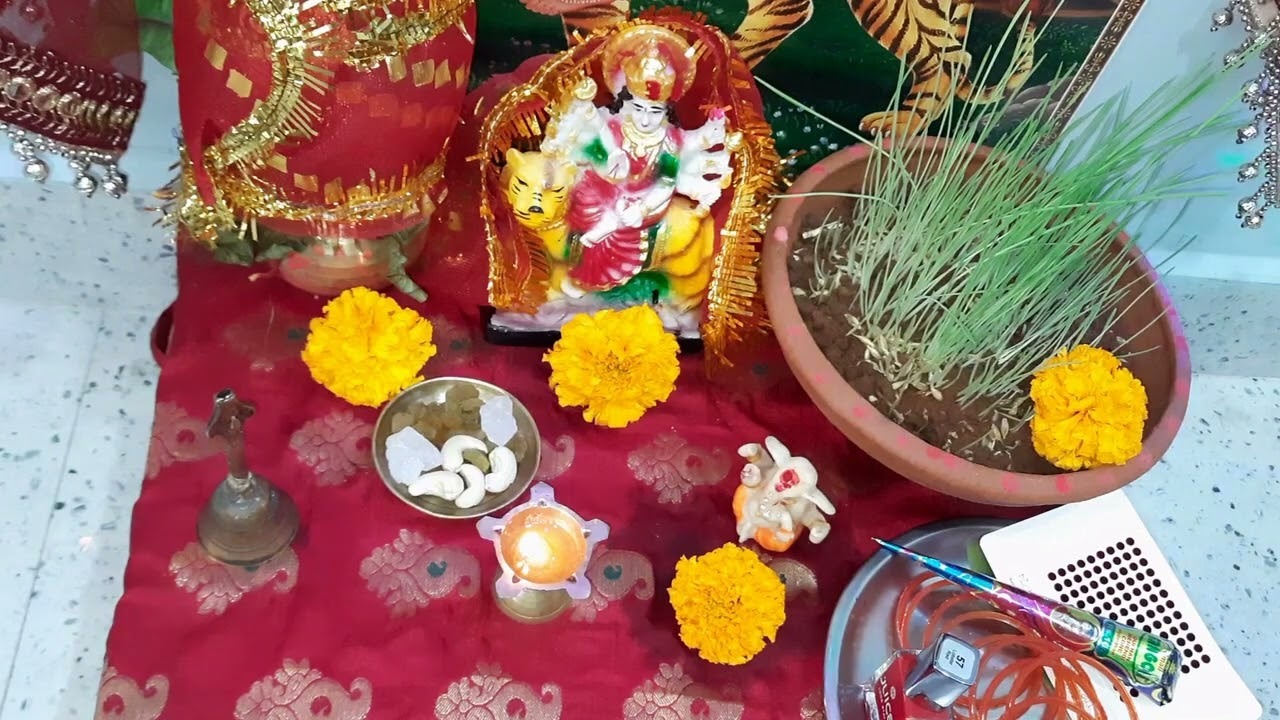 kya navratri mein durva boni chahiye