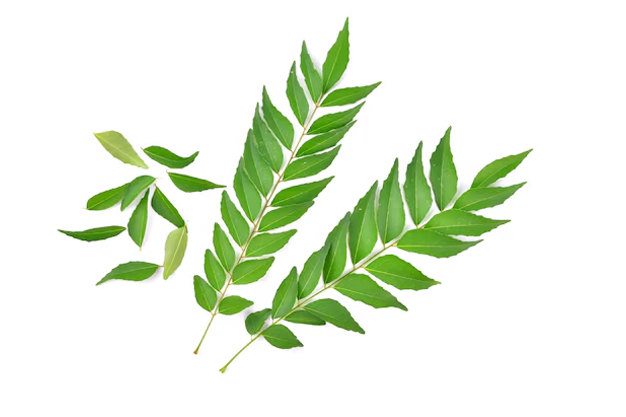curry leaf