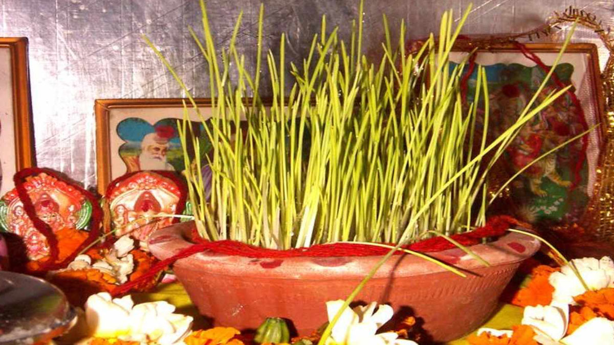 significance of barley in navratri