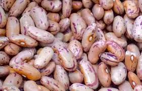 matchsticks to absorb salt moisture