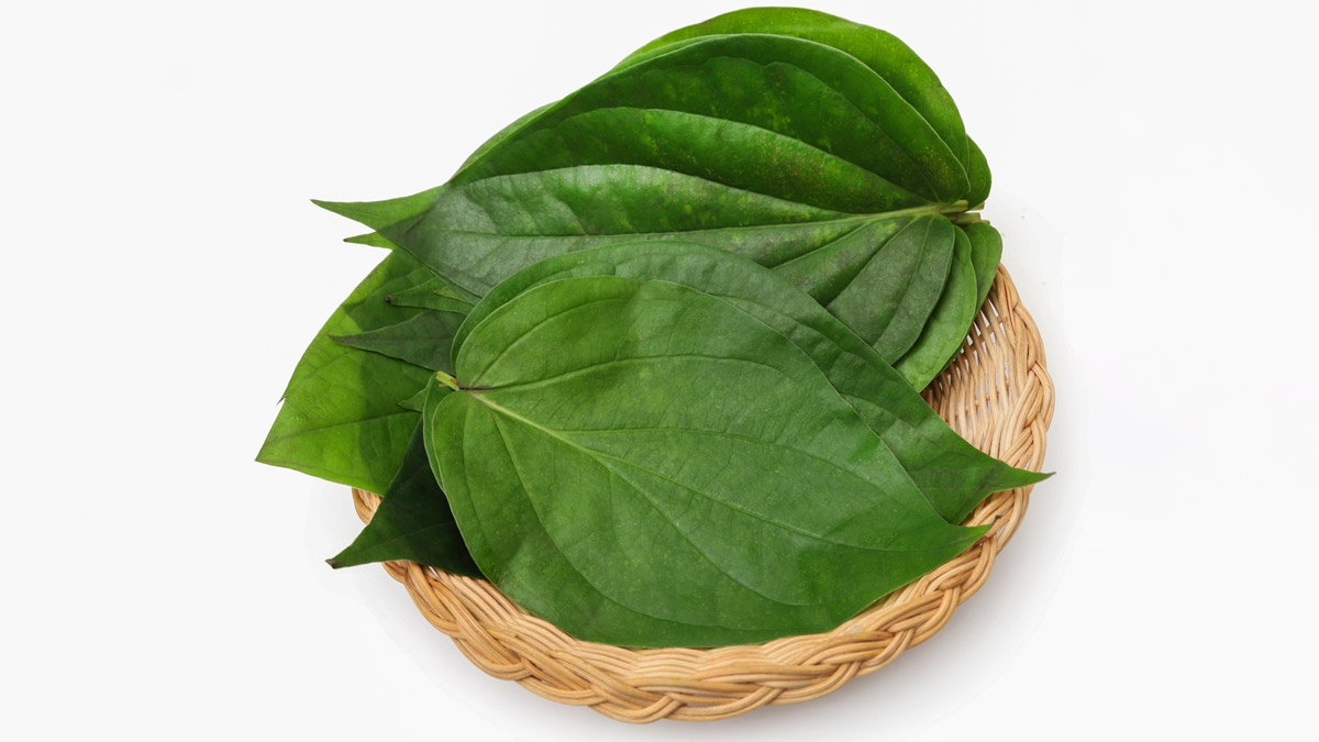 paan ke patte ke upay