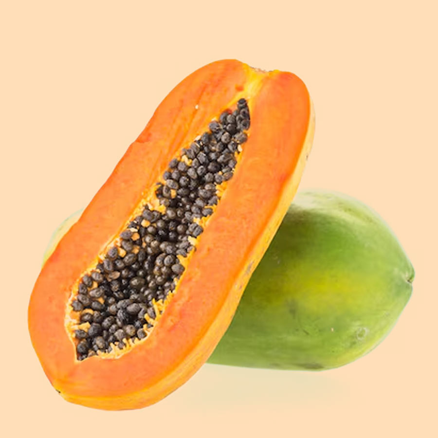 3 - 2025-09-26T162437.011