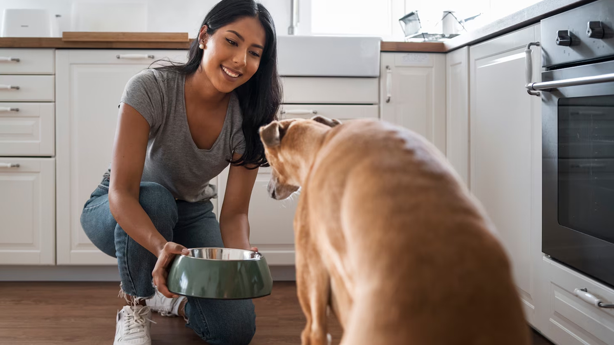 gardening with old spoons