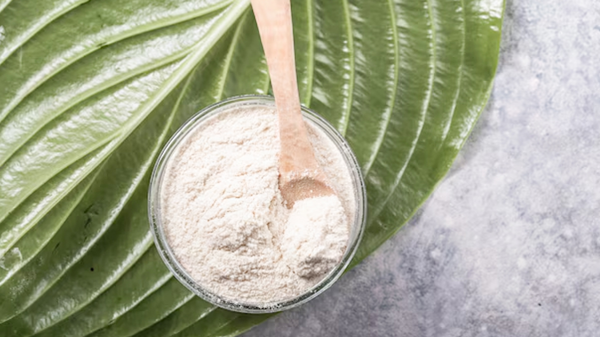 1 - 2025-09-29T214045.373