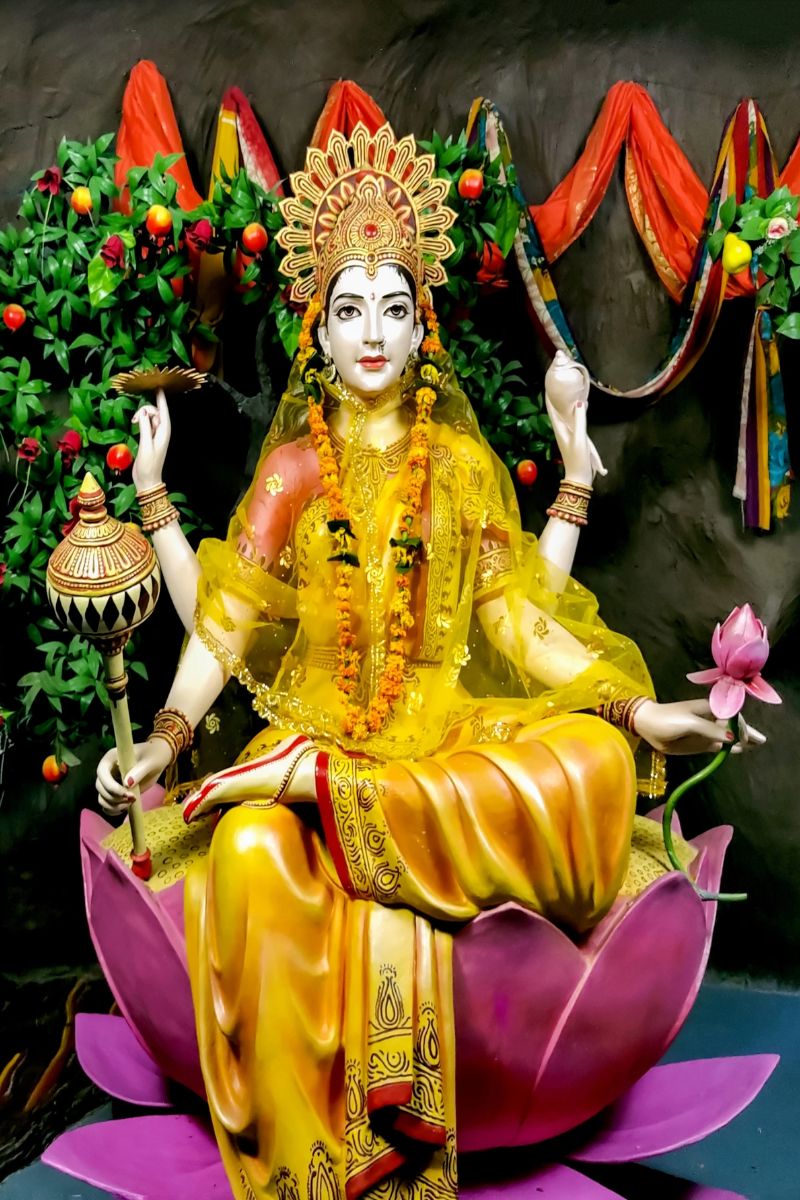 navratri 9th day mata