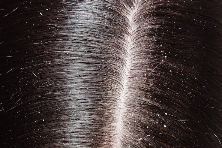 1 - 2025-09-30T145535.271