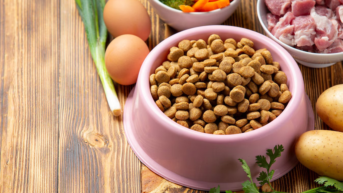 1 - 2025-09-30T182030.345