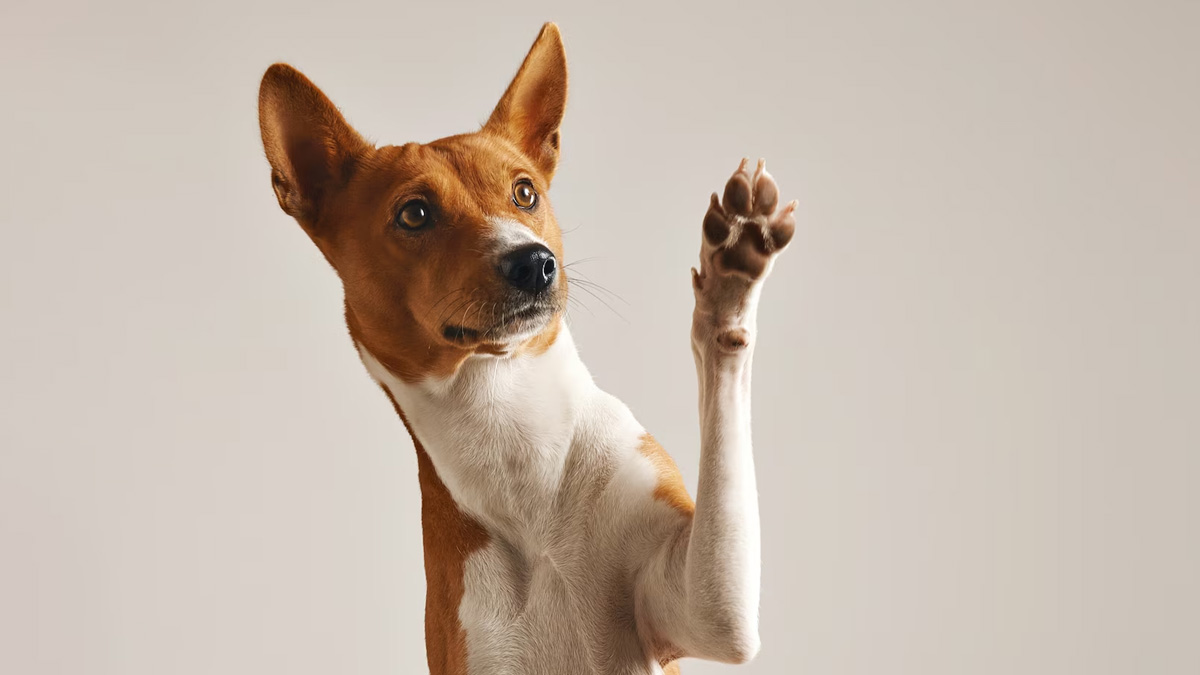 2 - 2025-09-30T182032.733