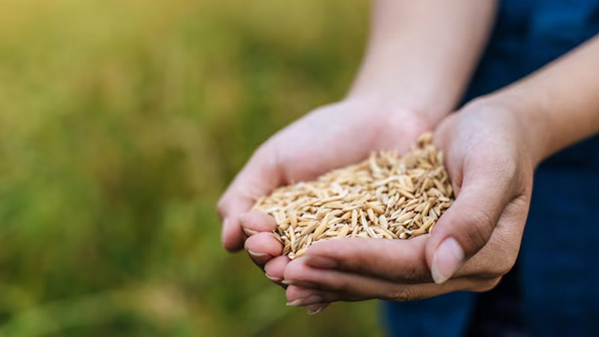 2 - 2025-10-01T124019.428