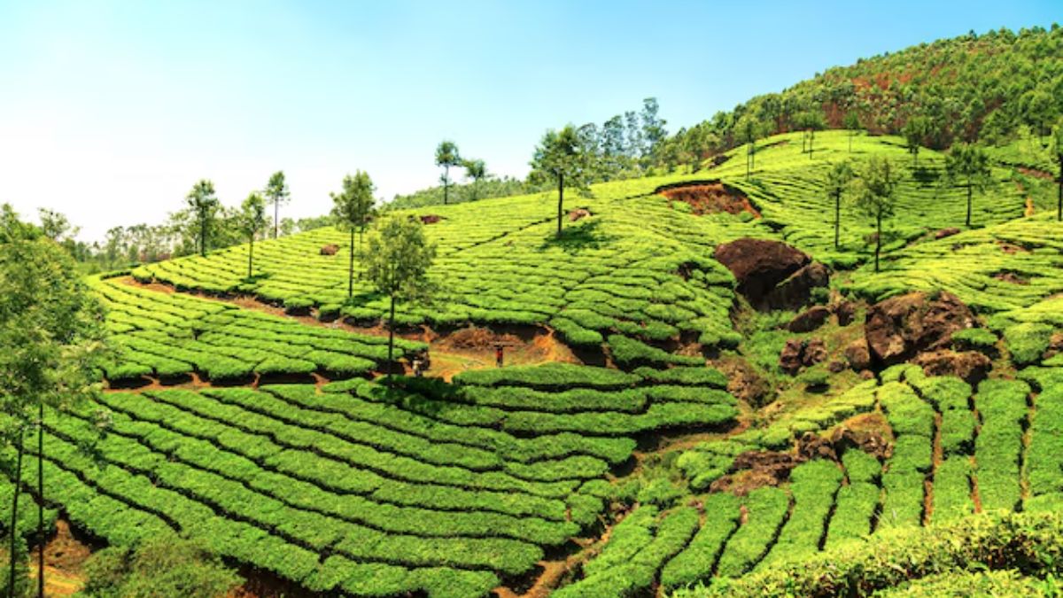 munnar