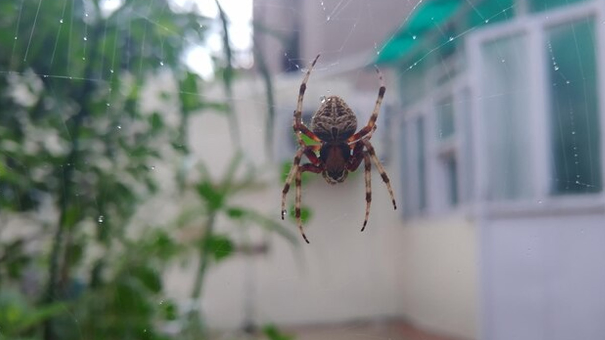 1 - 2025-10-03T155603.538