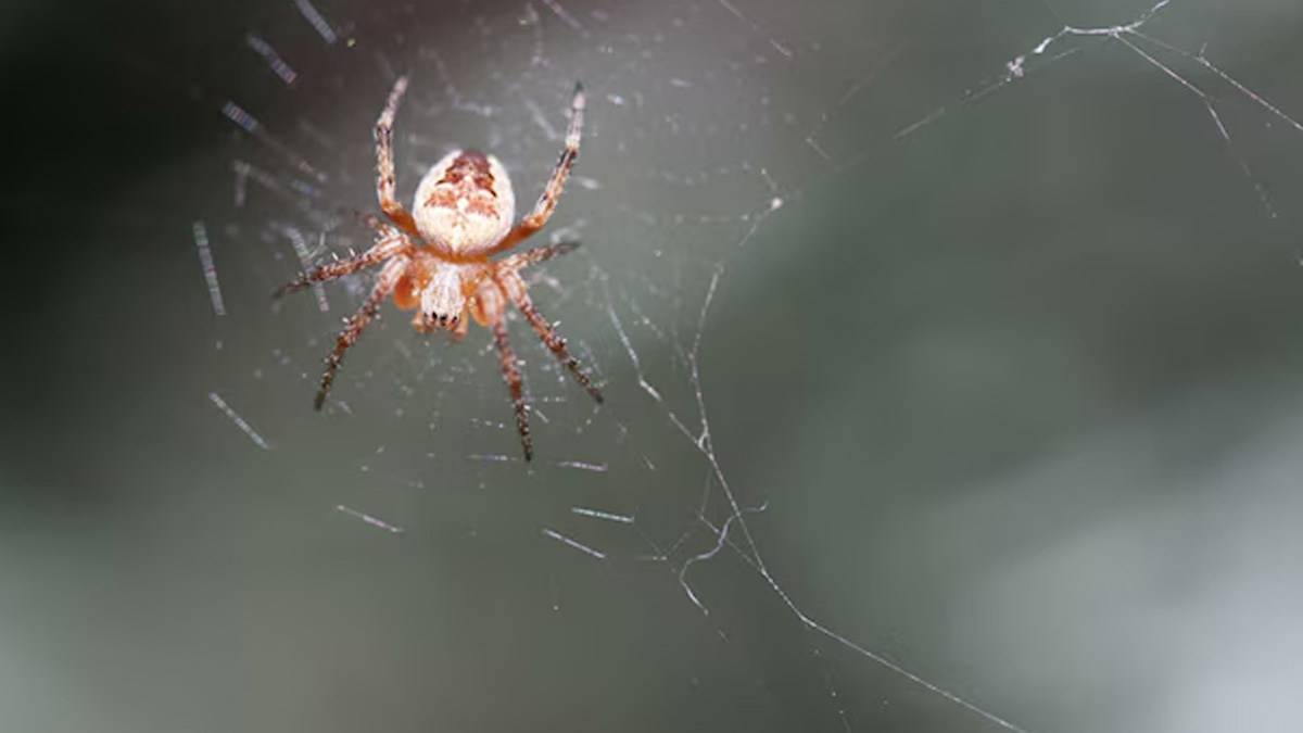 2 - 2025-10-03T155601.431