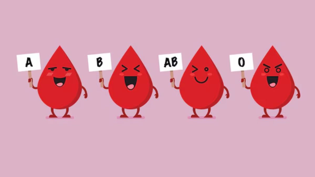 blood and heart connection 2