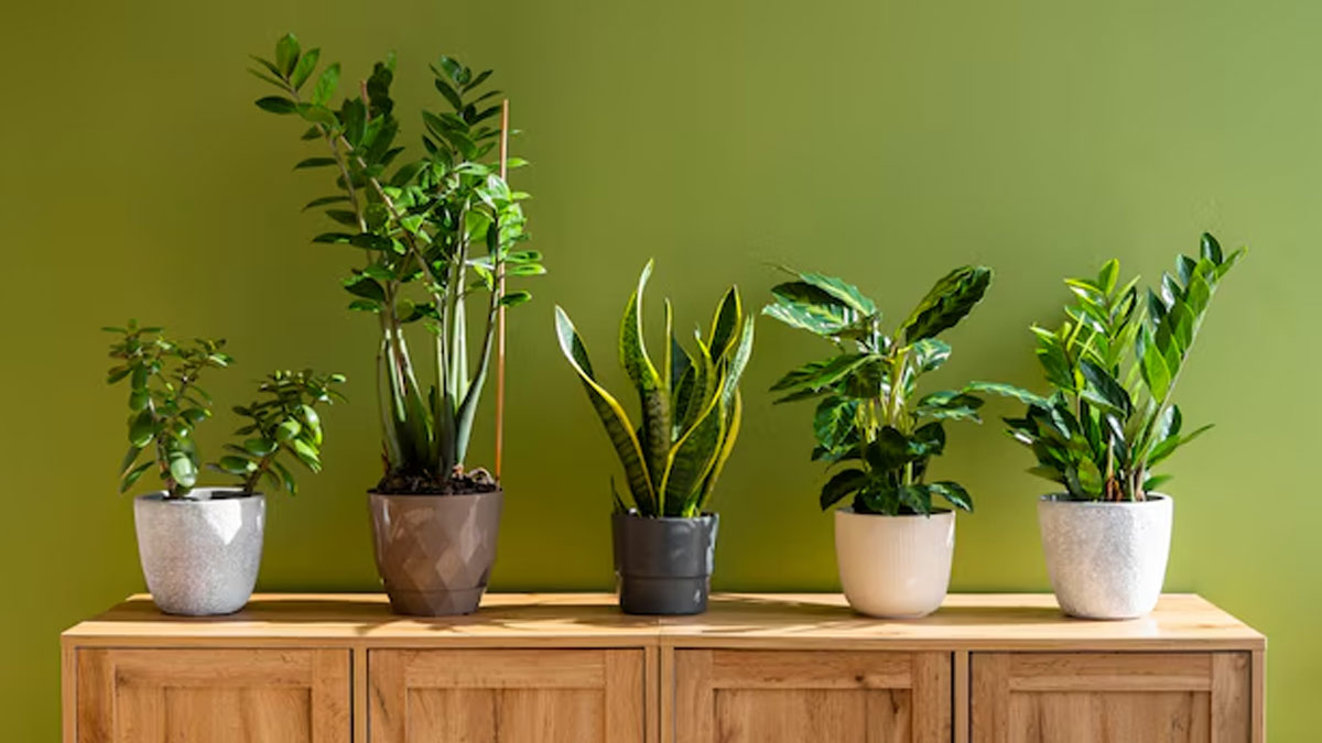 low cost indoor air purifier hacks