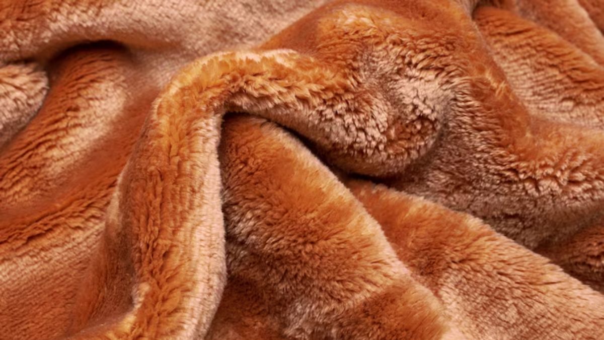 rajai bad smell removing tips (1)