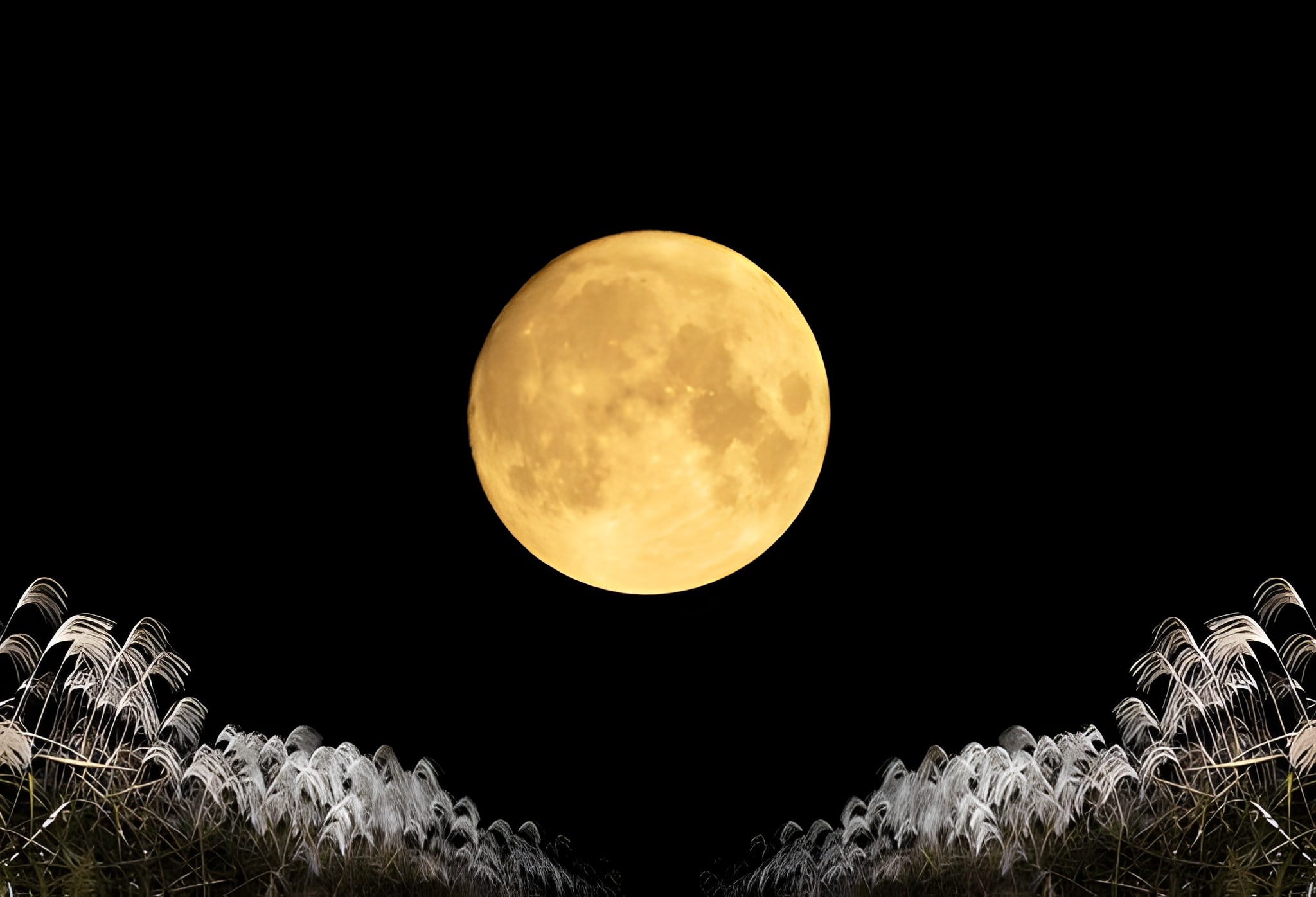 radha krishna raas sharad purnima