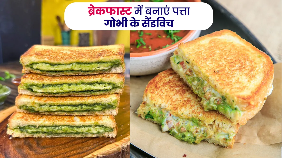 cabbage sandwich recipes