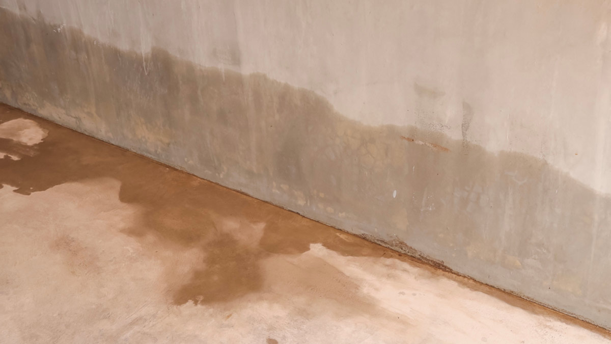 causes and remedies for wall dampness