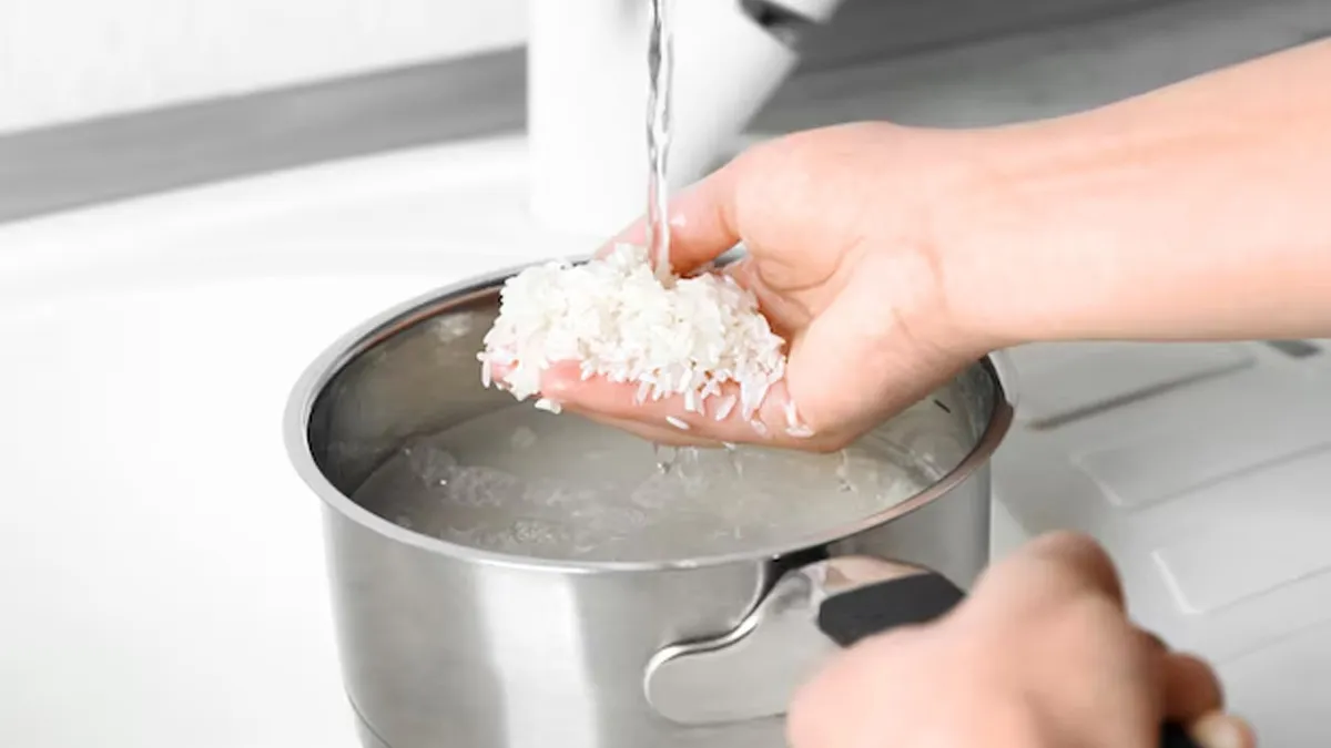 how to increase flowering in guldaudi plant care