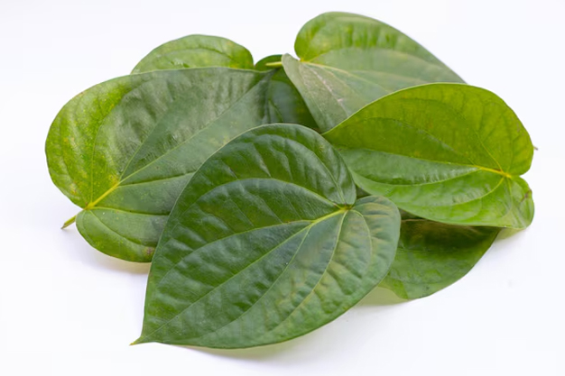 offering betal leaves