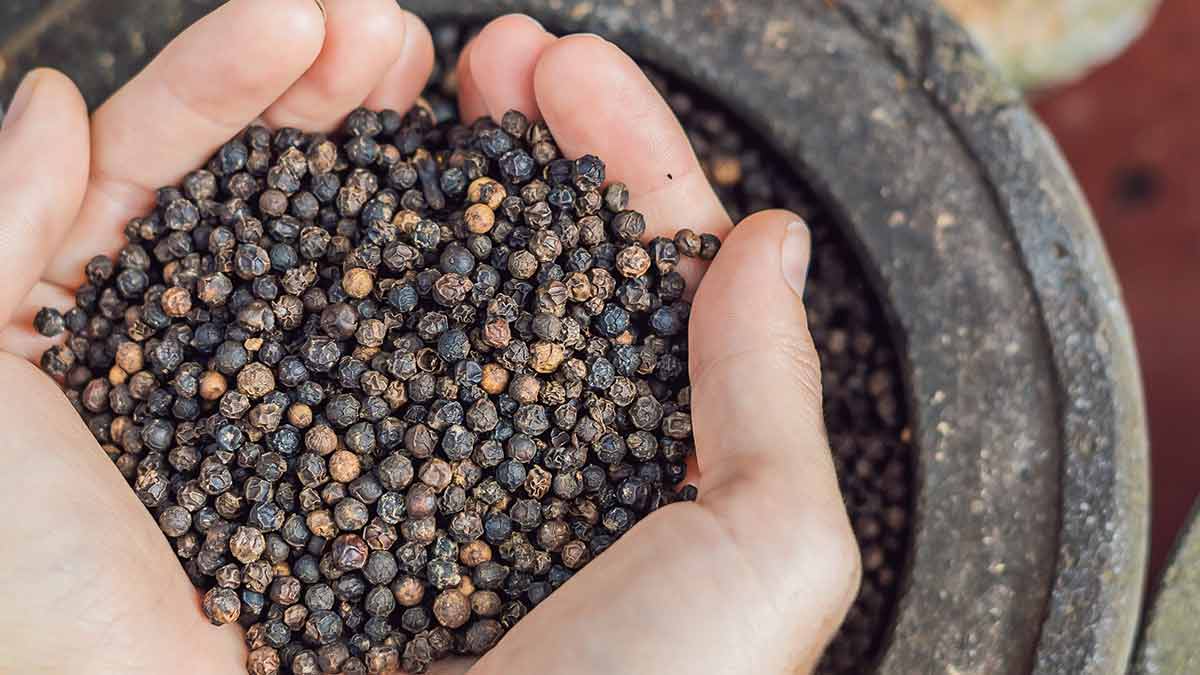 what happens when you boil onion peel and kapur in water cockroach aur chipkali bhagane ka tarikasssss