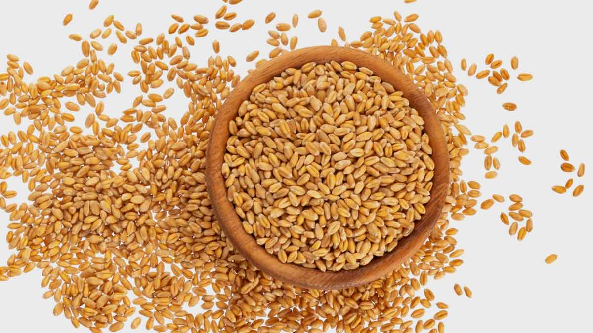 Gehu symbolism Karwa Chauth