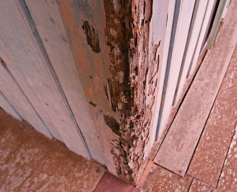 how to remove termites from wooden doors