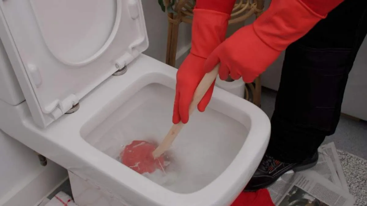 why my toilet bowl cannot flush know reason and solution1