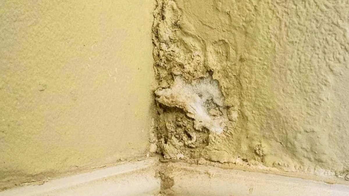 Best method for roof waterproofing