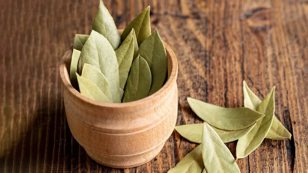 how to get rid of cockroaches in your kitchen cabinets know easy diwali cleaning hackss