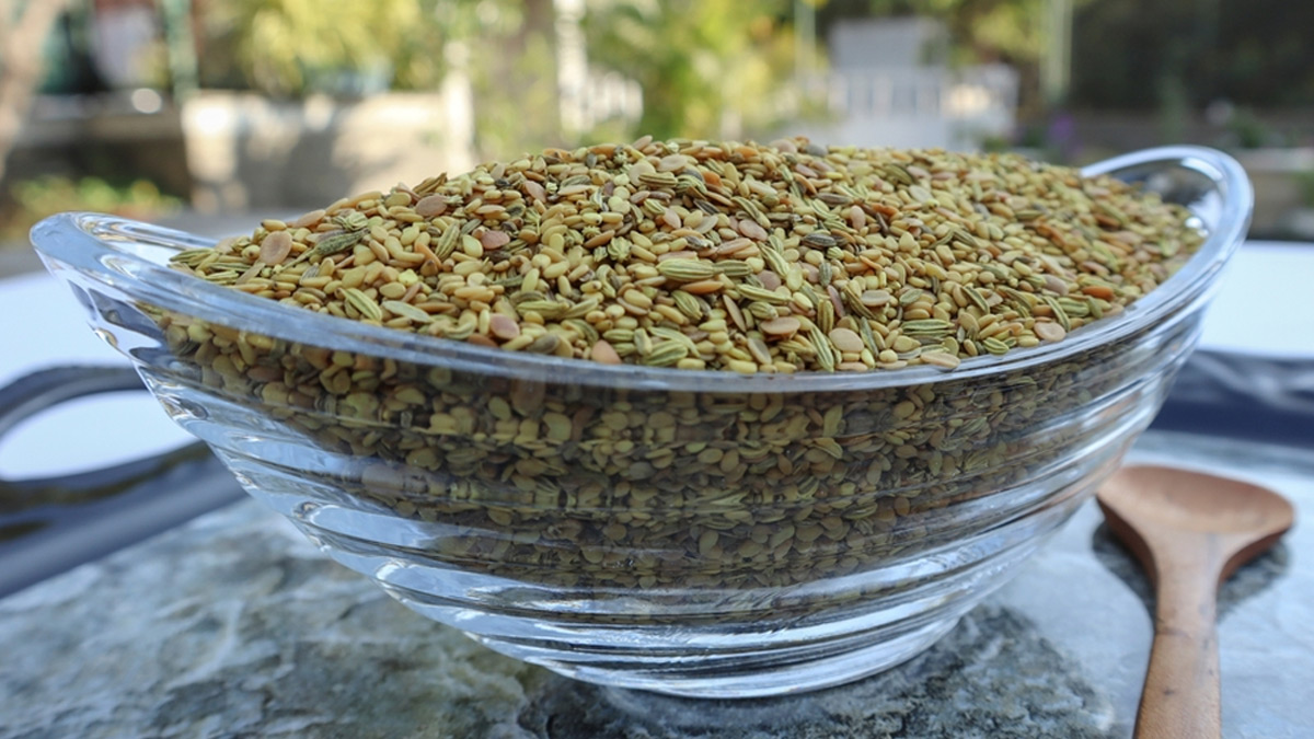 खाने के बाद खाएं इन 3 बीजों का मुखवास, न बनेगी गैस..न आएंगी खट्टी डकारे और ब्लोटिंग भी होगी कम