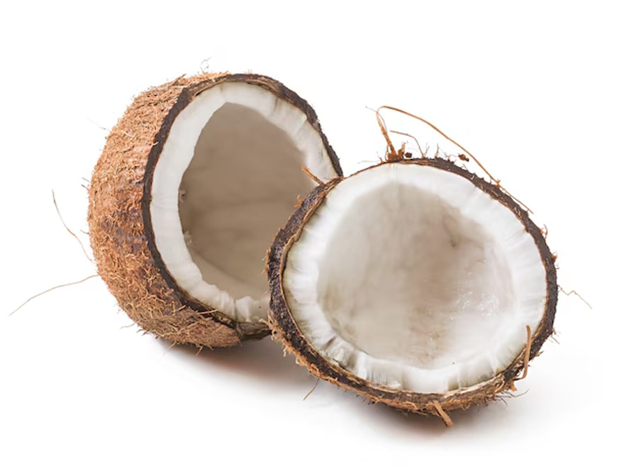 Coconut (2)