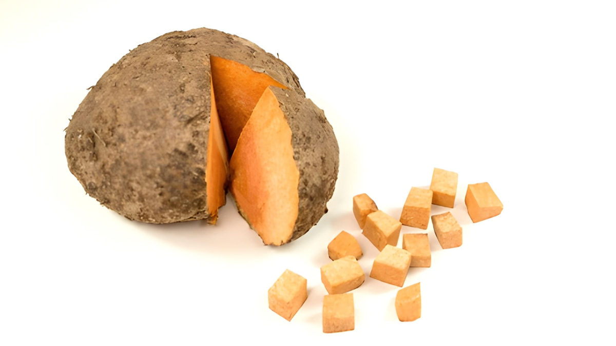 elephant yam benefits