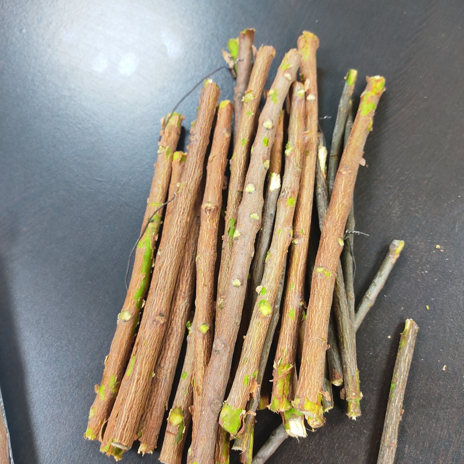 ghar mein neem ki datun rakhne ke niyam