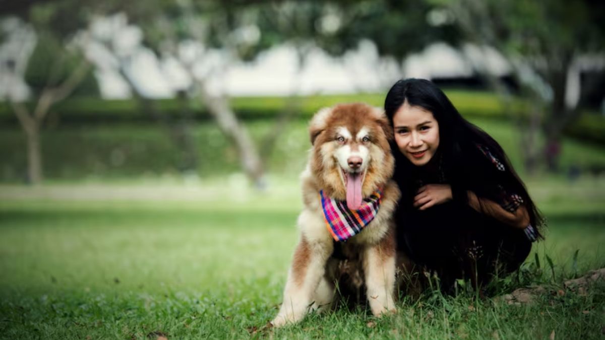 pet parenting in india (1)