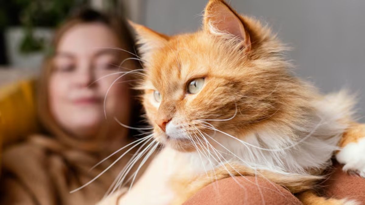 pet parenting in india (2)