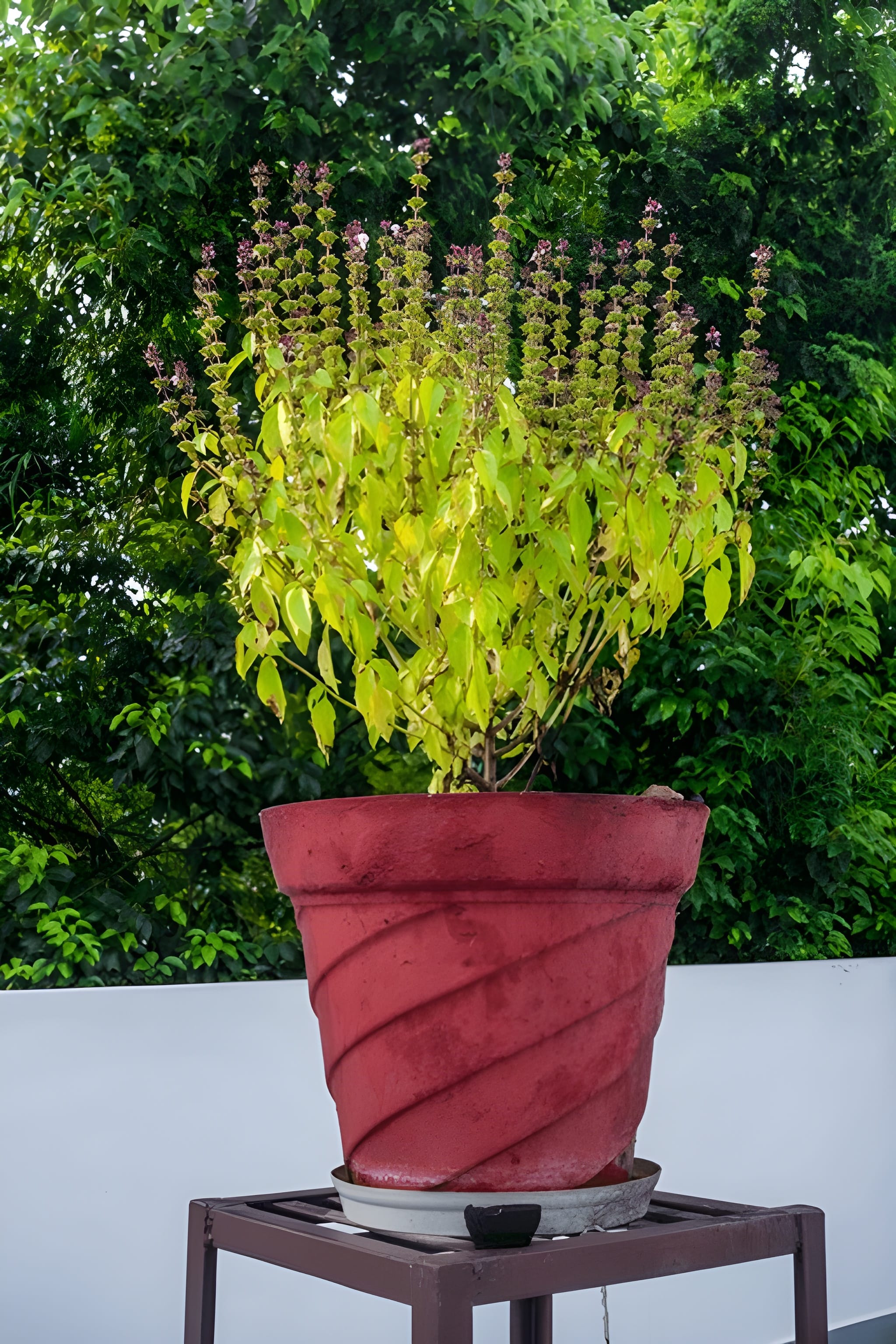 steptodown.com143356