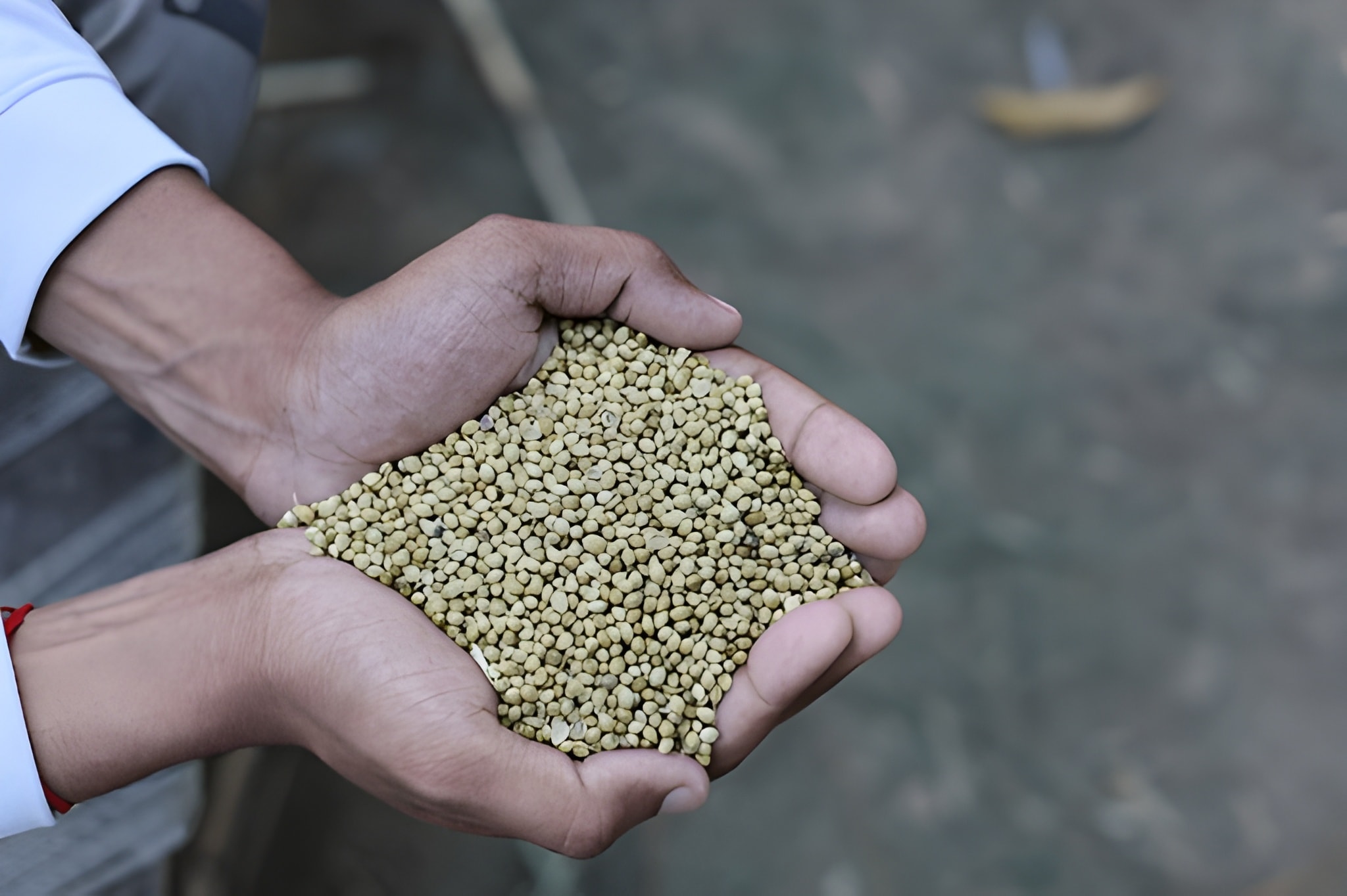 steptodown.com840728