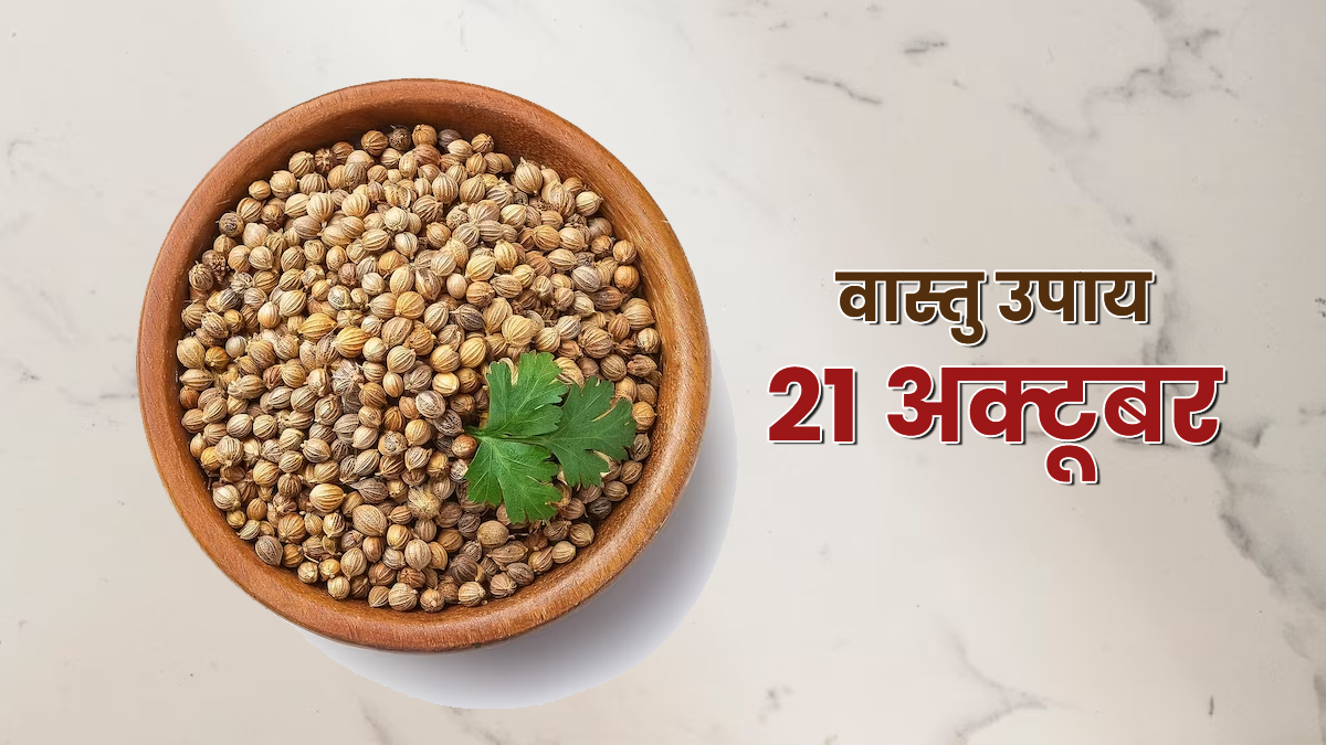 Vastu Upay 21 October: किचन की यह एक चीज बदल देगी घर का माहौल, कम हो सकता है वास्तु दोष