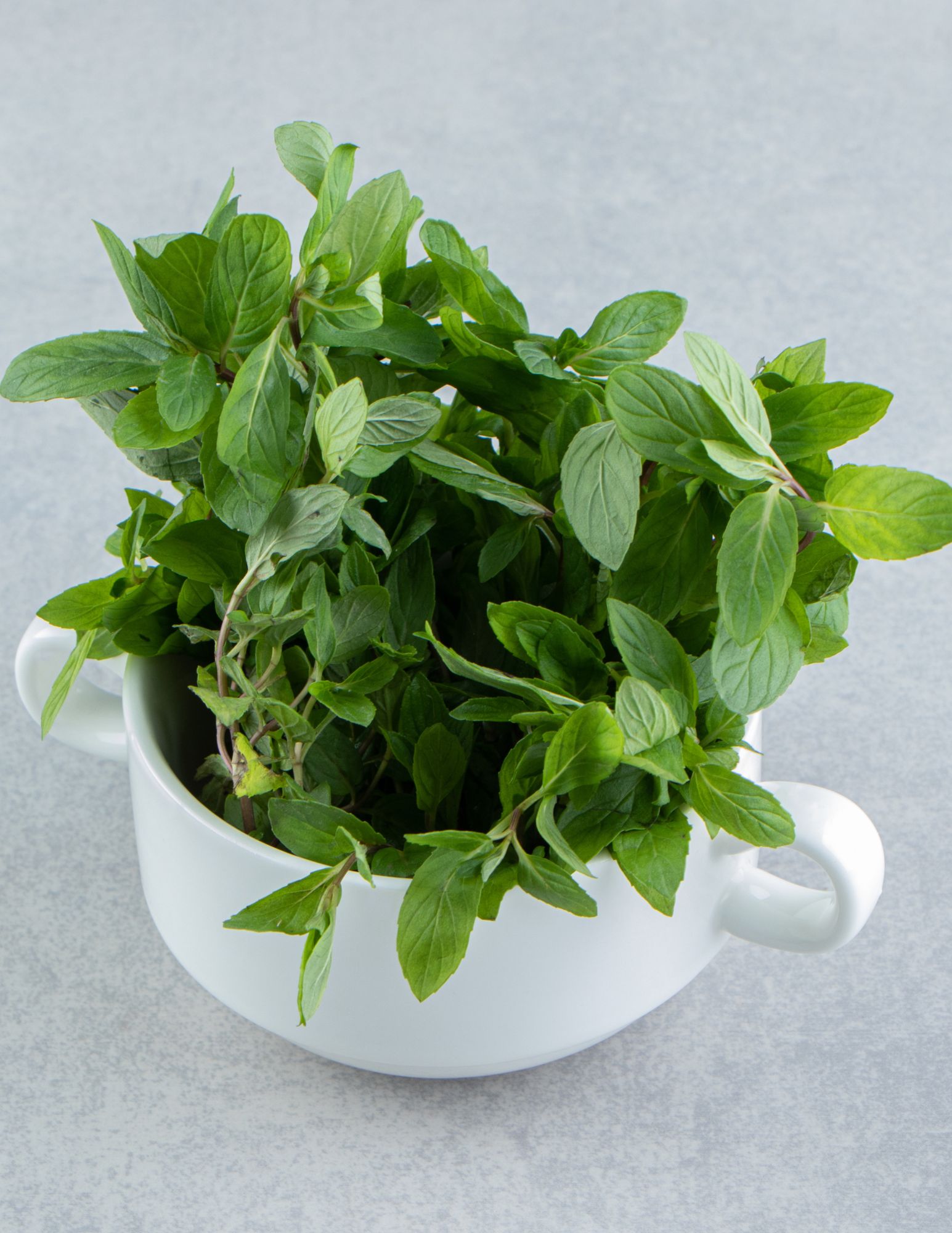 Untitled design (49)