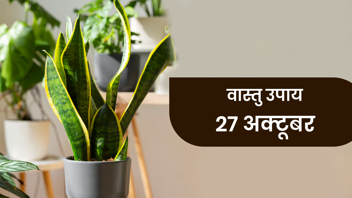 Vastu Upay 27 October: इस एक पौधे से बिगड़ सकती है घर की सुख-शांति, भूलकर भी न लगाएं
