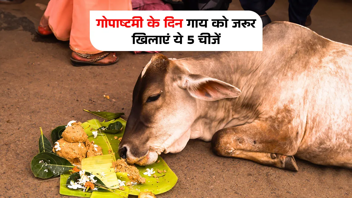 gopashtami 2025 upay